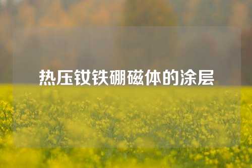 热压钕铁硼磁体的涂层