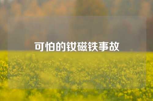 可怕的钕磁铁事故