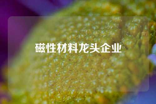 磁性材料龙头企业