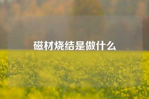 磁材烧结是做什么