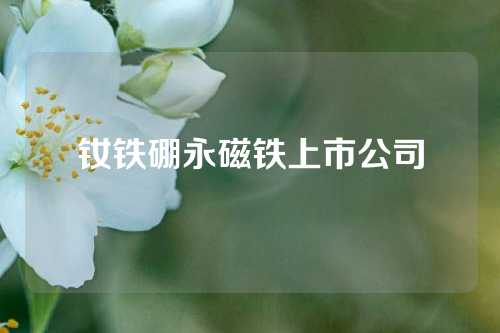 钕铁硼永磁铁上市公司