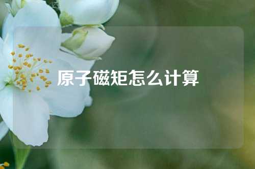 原子磁矩怎么计算