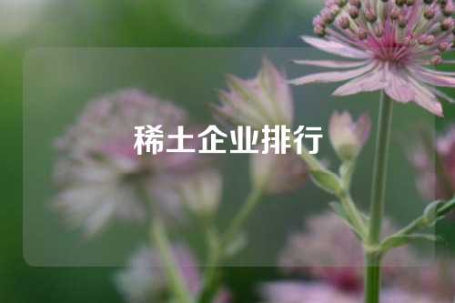 稀土企业排行