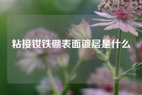 粘接钕铁硼表面镀层是什么