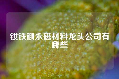 钕铁硼永磁材料龙头公司有哪些