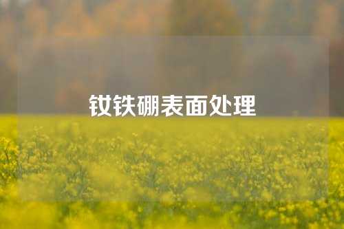 钕铁硼表面处理