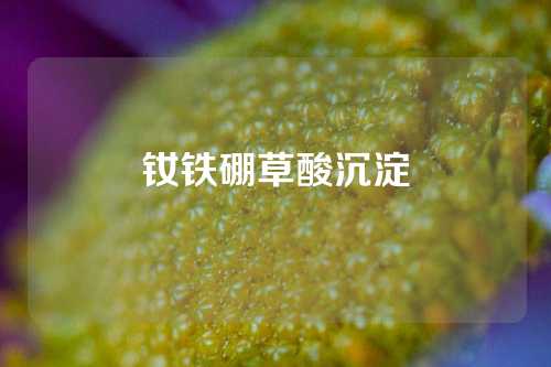 钕铁硼草酸沉淀