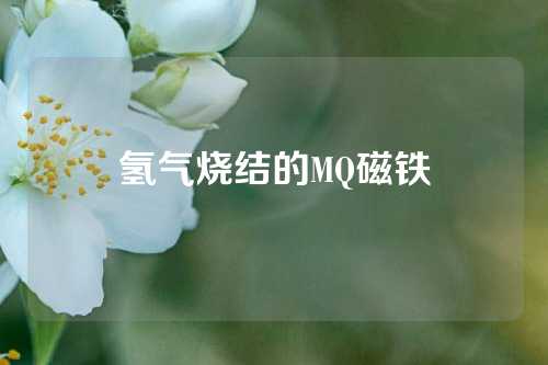 氢气烧结的MQ磁铁