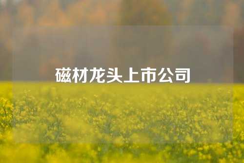 磁材龙头上市公司