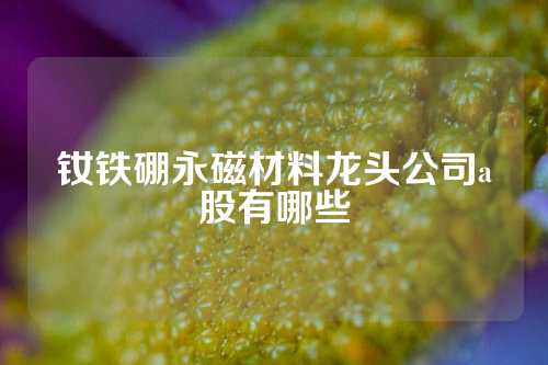 钕铁硼永磁材料龙头公司a股有哪些