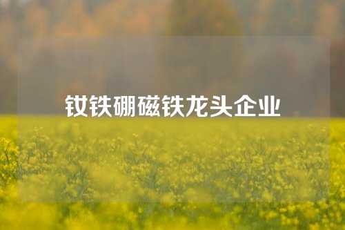 钕铁硼磁铁龙头企业