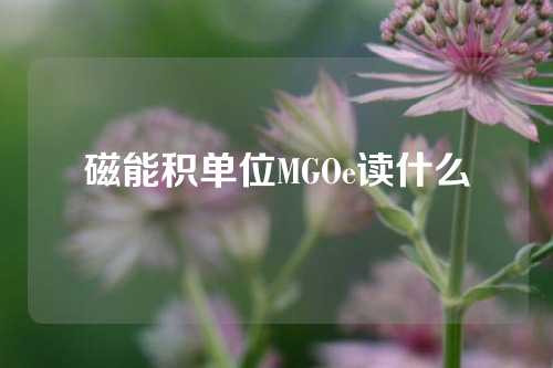 磁能积单位MGOe读什么