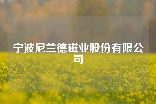 宁波尼兰德磁业股份有限公司