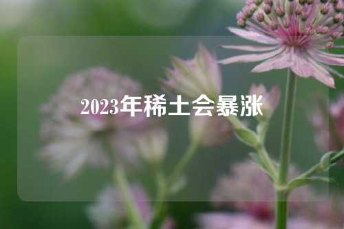 2023年稀土会暴涨