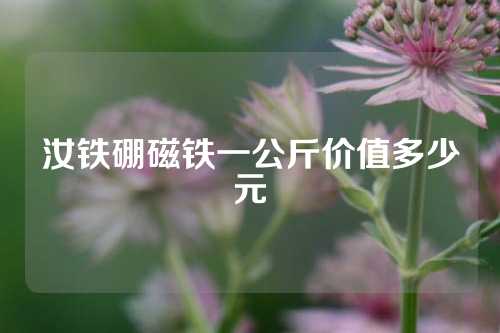 汝铁硼磁铁一公斤价值多少元