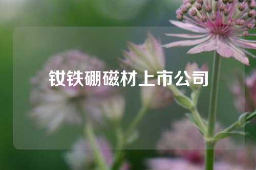 钕铁硼磁材上市公司