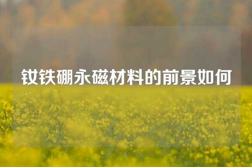 钕铁硼永磁材料的前景如何