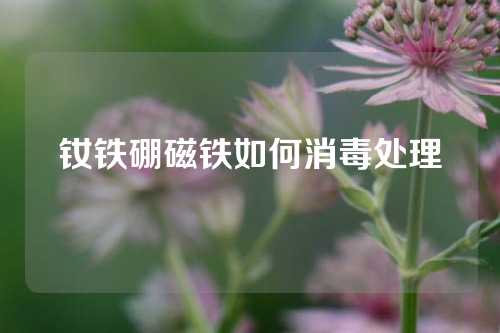 钕铁硼磁铁如何消毒处理