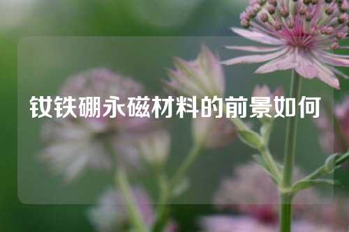 钕铁硼永磁材料的前景如何