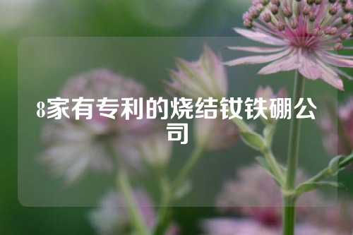 8家有专利的烧结钕铁硼公司