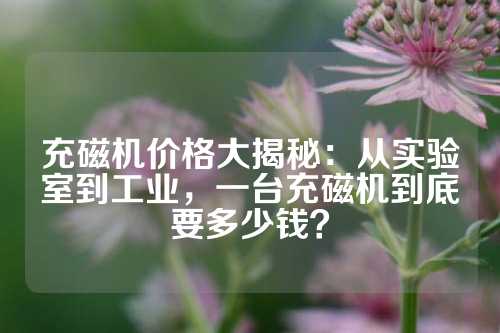 充磁机价格大揭秘：从实验室到工业，一台充磁机到底要多少钱？