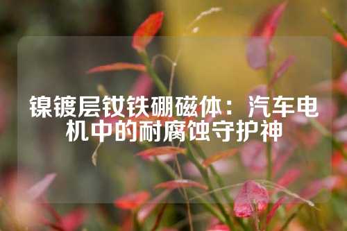 镍镀层钕铁硼磁体：汽车电机中的耐腐蚀守护神