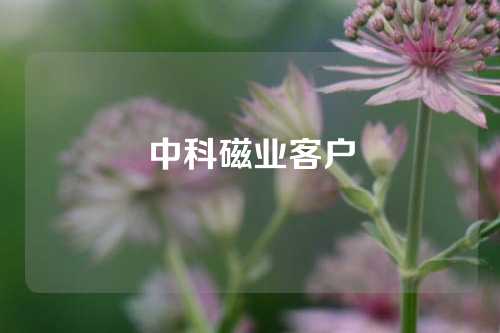 中科磁业客户