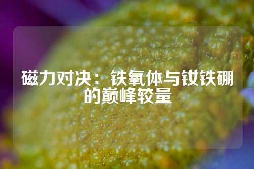 磁力对决：铁氧体与钕铁硼的巅峰较量