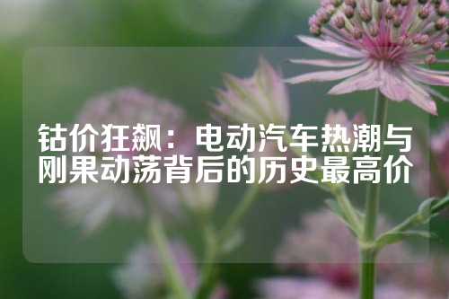 钴价狂飙：电动汽车热潮与刚果动荡背后的历史最高价