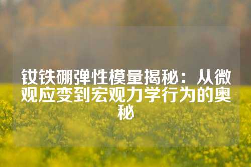 钕铁硼弹性模量揭秘：从微观应变到宏观力学行为的奥秘