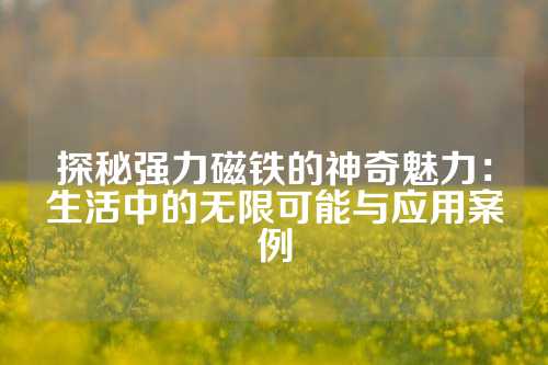 探秘强力磁铁的神奇魅力：生活中的无限可能与应用案例