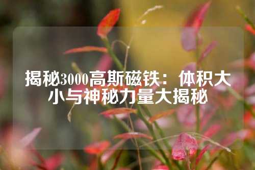 揭秘3000高斯磁铁：体积大小与神秘力量大揭秘