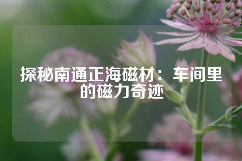 探秘南通正海磁材：车间里的磁力奇迹