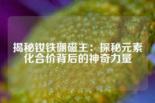 揭秘钕铁硼磁王：探秘元素化合价背后的神奇力量