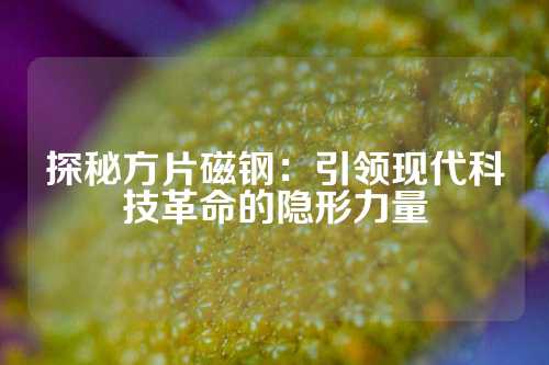 探秘方片磁钢：引领现代科技革命的隐形力量