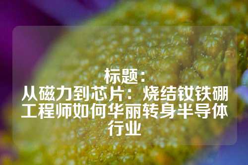 标题：
从磁力到芯片：烧结钕铁硼工程师如何华丽转身半导体行业