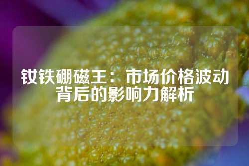 钕铁硼磁王：市场价格波动背后的影响力解析