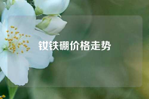 钕铁硼价格走势