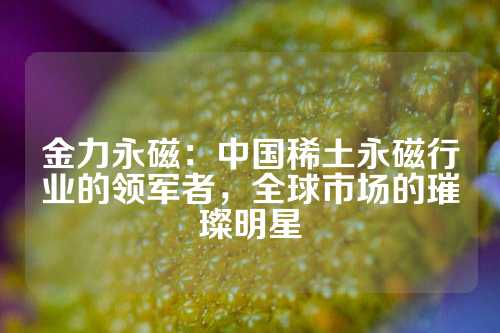 金力永磁：中国稀土永磁行业的领军者，全球市场的璀璨明星