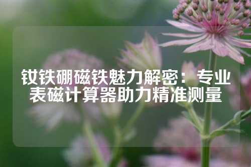 钕铁硼磁铁魅力解密：专业表磁计算器助力精准测量