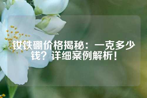 钕铁硼价格揭秘：一克多少钱？详细案例解析！