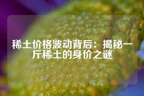 稀土价格波动背后：揭秘一斤稀土的身价之谜