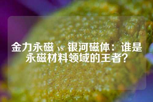 金力永磁 vs 银河磁体：谁是永磁材料领域的王者？