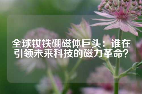 全球钕铁硼磁体巨头：谁在引领未来科技的磁力革命？