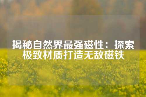 揭秘自然界最强磁性：探索极致材质打造无敌磁铁