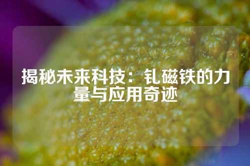 揭秘未来科技：钆磁铁的力量与应用奇迹