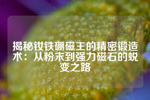 揭秘钕铁硼磁王的精密锻造术：从粉末到强力磁石的蜕变之路