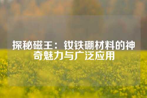 探秘磁王：钕铁硼材料的神奇魅力与广泛应用