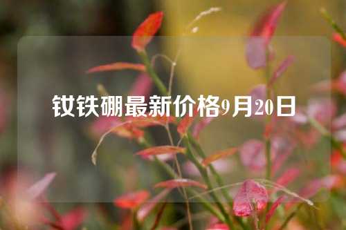 钕铁硼最新价格9月20日