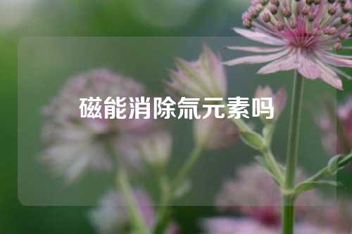 磁能消除氚元素吗